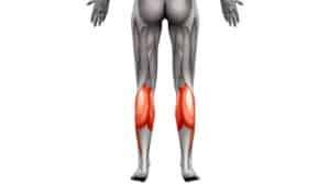 What Muscles Does Biking Work? - On Your Left