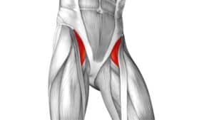 What Muscles Does Biking Work? - On Your Left